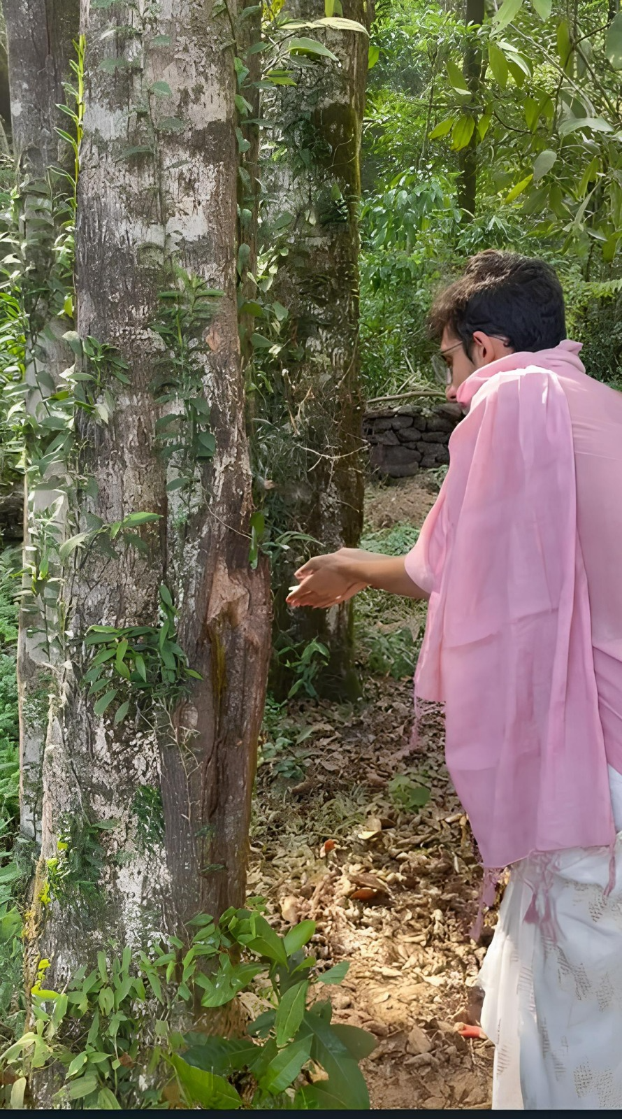 विविध प्रकार के औषधि प्रकल्प