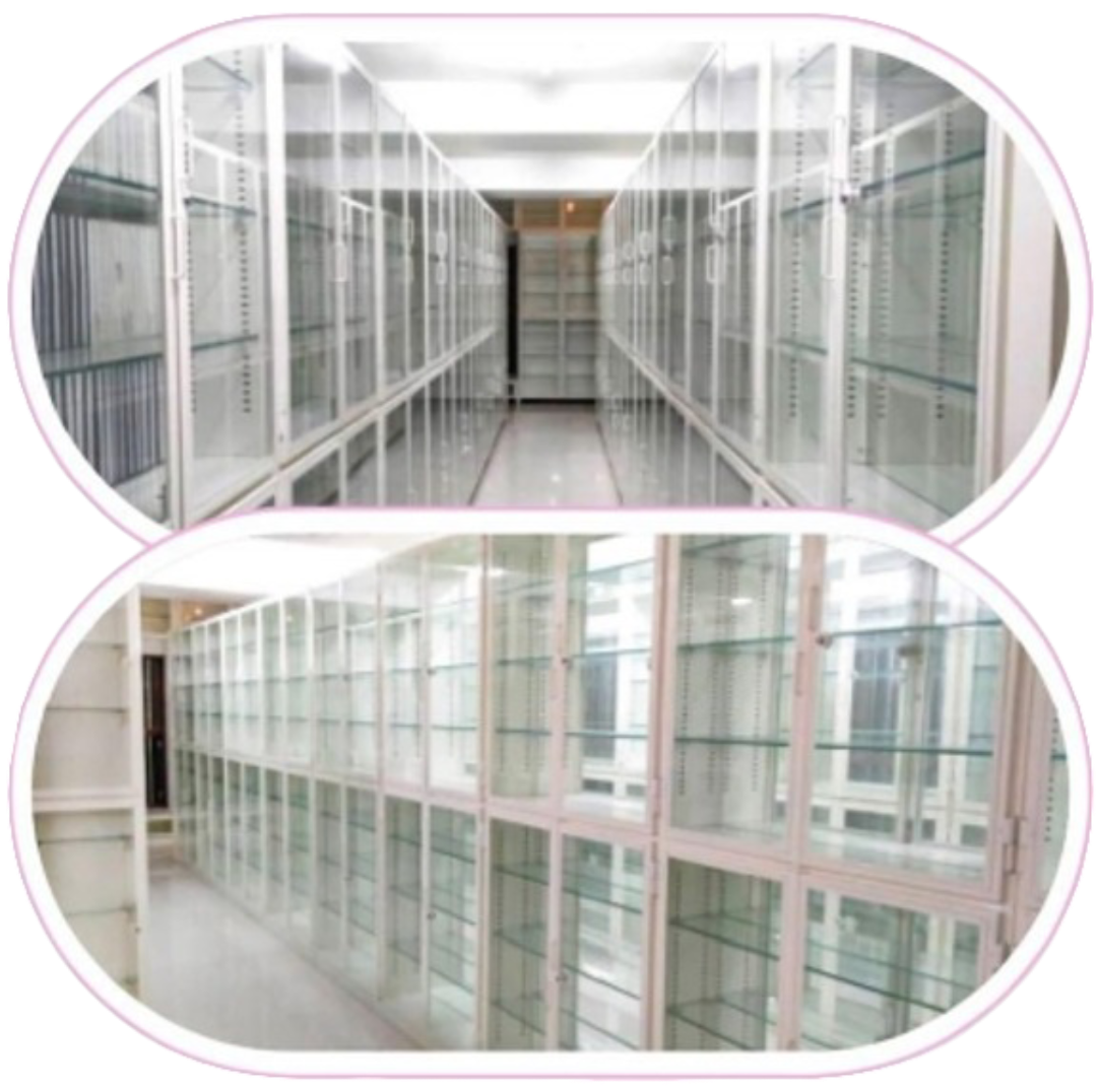 Library shelves filled with books