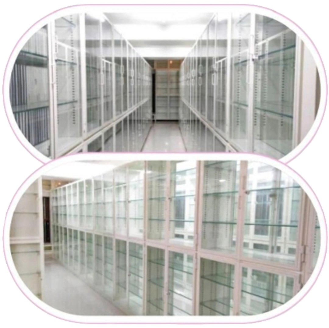 Library shelves filled with books