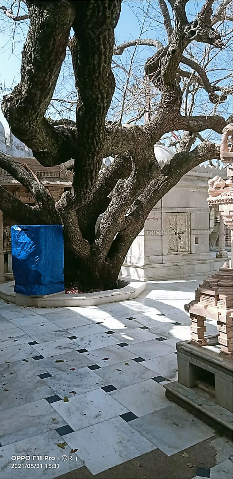 तुफान क्षति 2