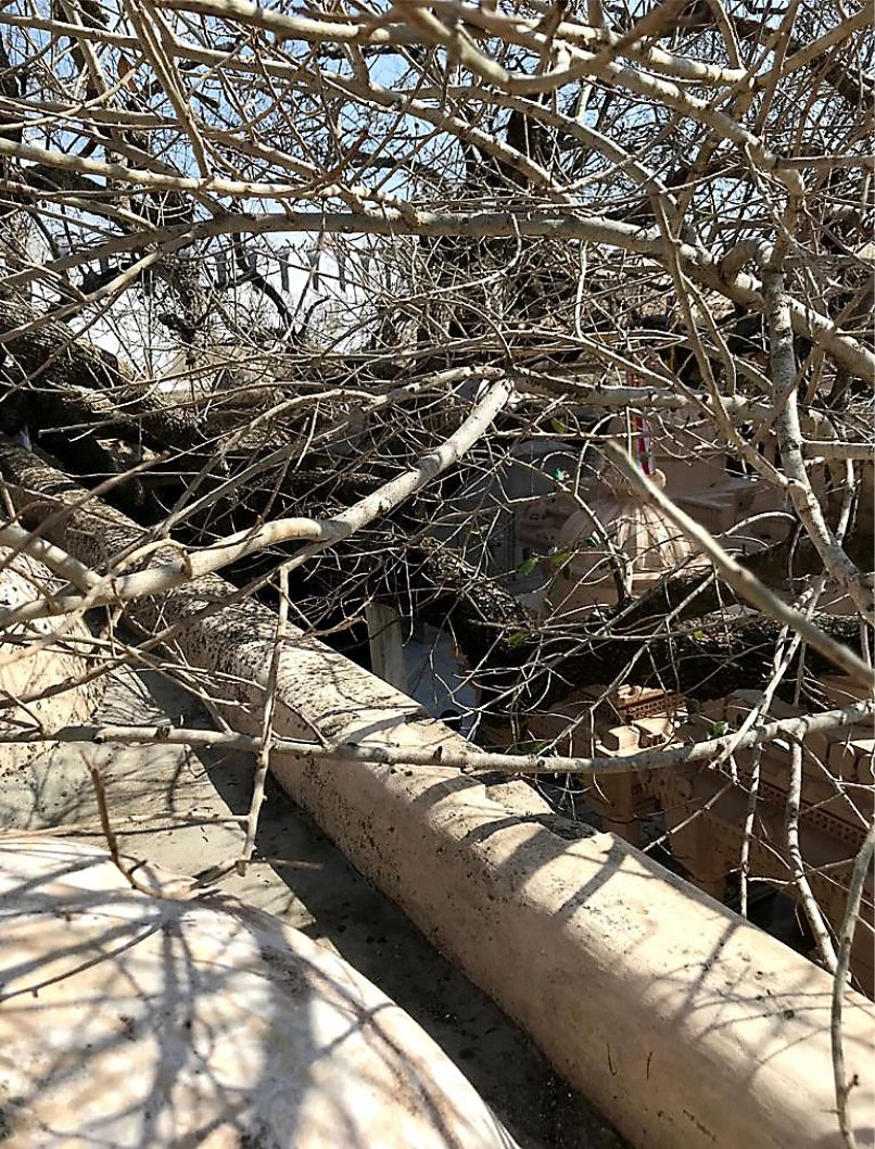 तुफान क्षति 3