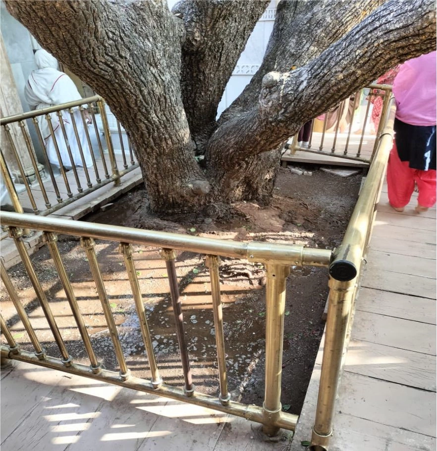 सुधार कार्य 3