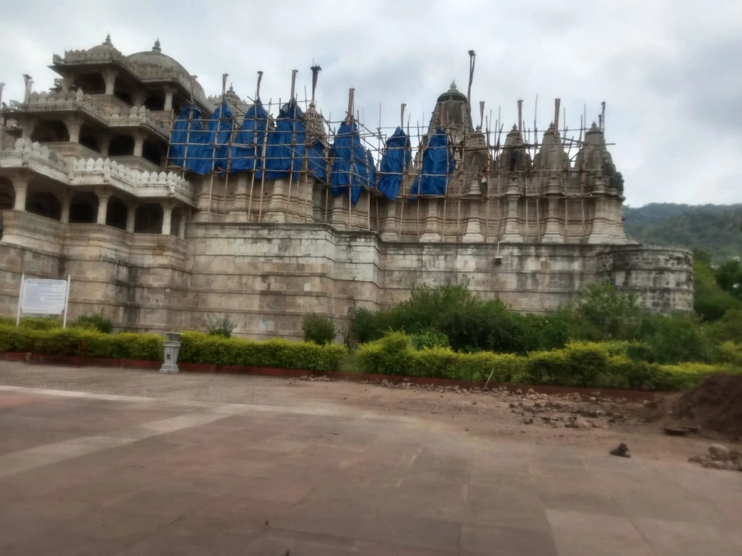 फंगस हटाना